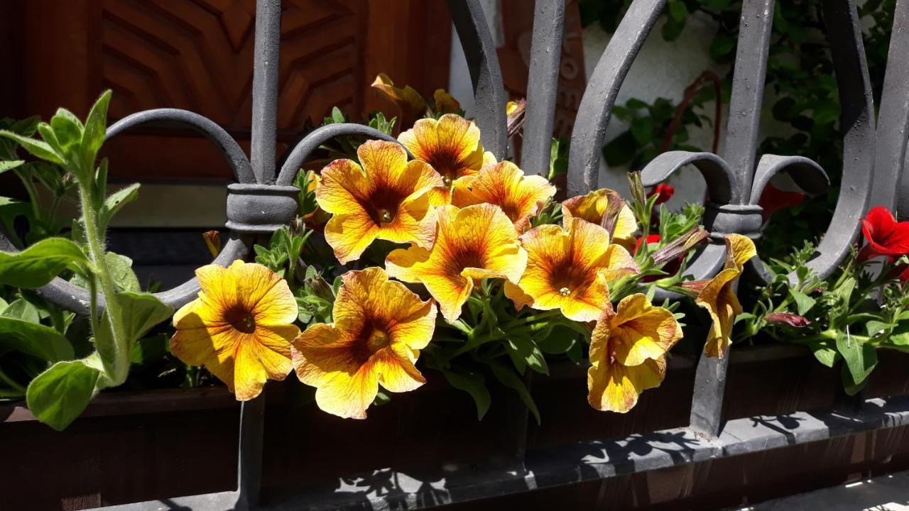 Apartamento Haus Ruetzbach Neustift im Stubaital Exterior foto